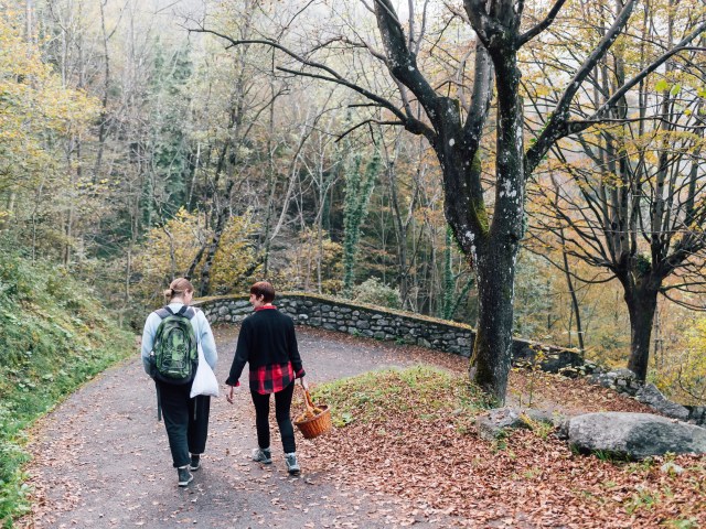 Catskills Escape for the Trail-Hungry and the Bookstore Browsers