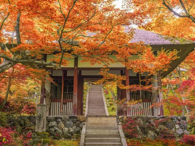 Autumn foliage framing a traditional temple in Kyoto, Japan.