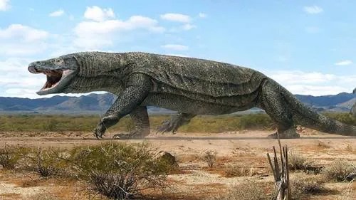 Buaya Darat' Komodo Dari Manakah Asal-Usulnya? - Trenasia.com