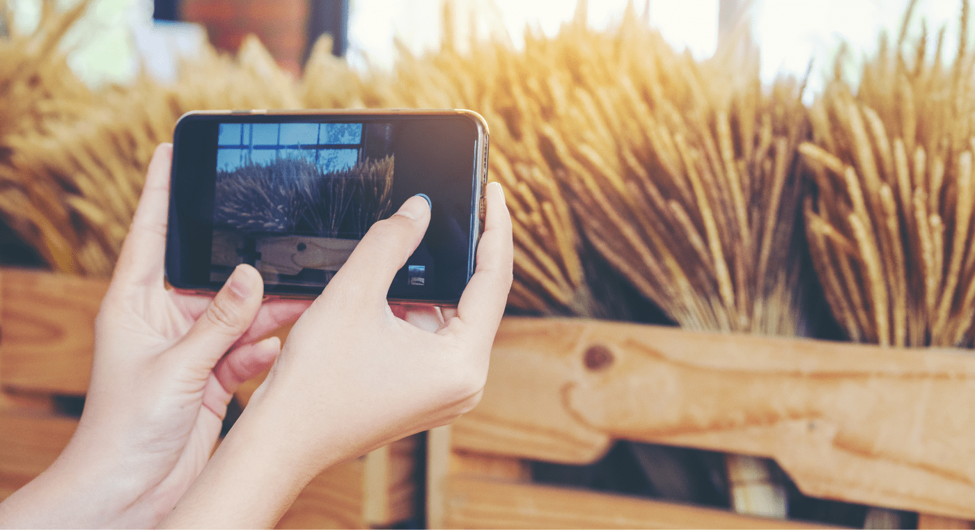 Come Creare Gif Su Iphone 3 Modi Per Farlo