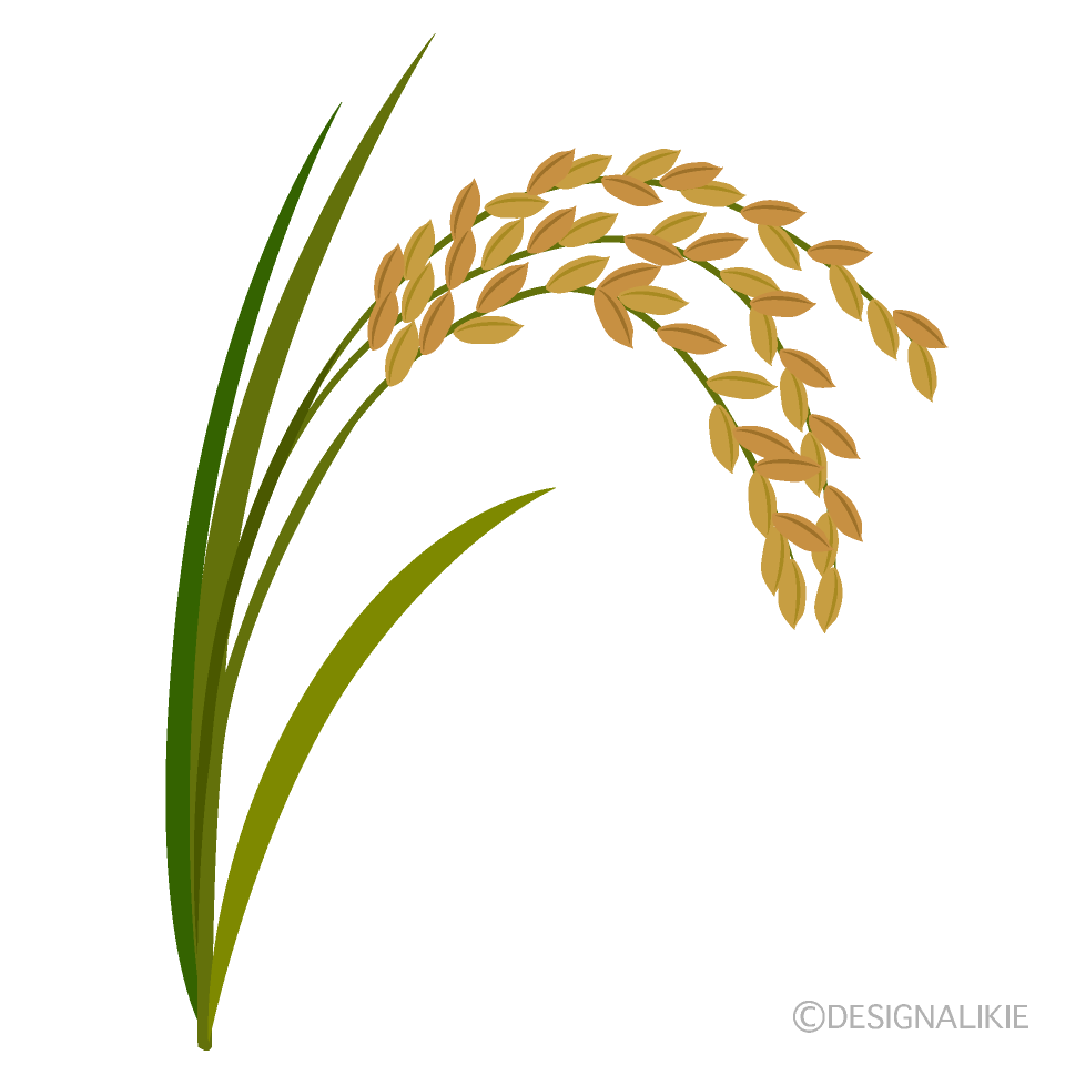 Constipation Best Foods