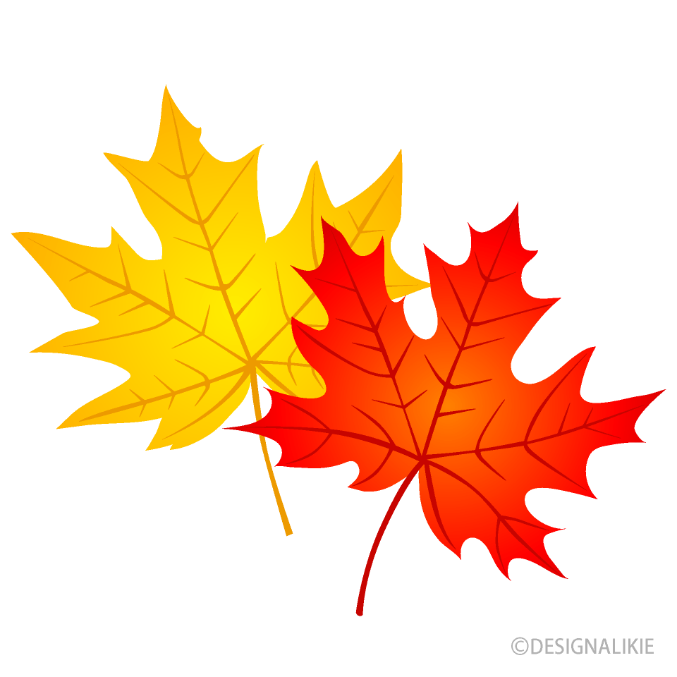 Fotos de hojas de otoño