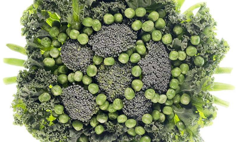 Il Mio Diabete L'educazione Alimentare Basata Sui Sensi Incoraggia I Bambini A Mangiare Verdure, Bacche E Frutta 480_x_800_jpg