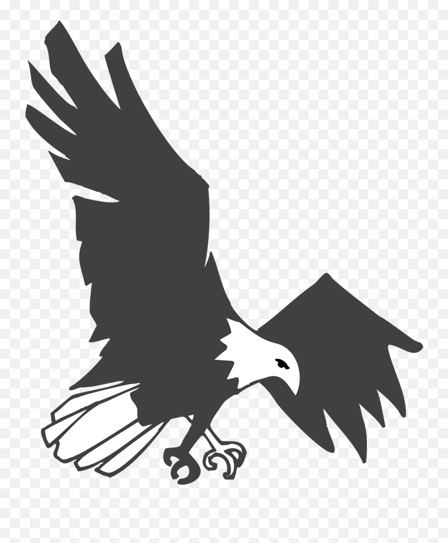 Eagle Black White Bird Flying - Gambar Burung Elang Hitam Putih Emoji,Virgin Islands Flag Emoji - Free Transparent Emoji - Emojipng.com 1090_X_900_jpg