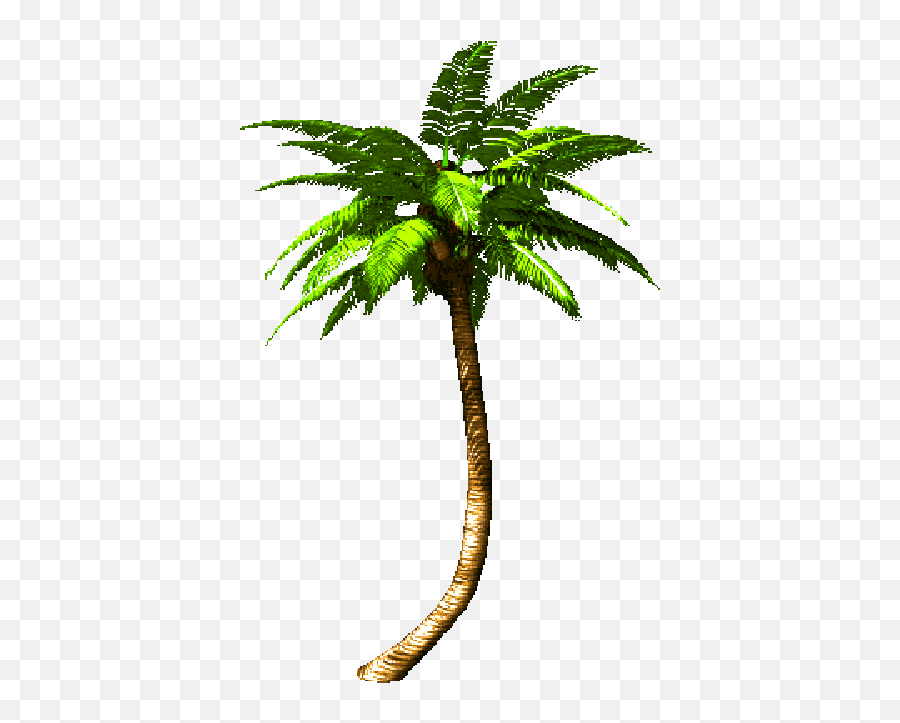 Palm Clipart Animation Transparent Free For Palm Tree Transparent Gif Png Cartoon Palm Tree Png Free Transparent Png Images Pngaaa Com