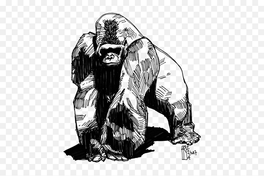 Download Free Png Tattoo Gorilla Western Groovanometry Gorilla Tattoo Design Gorilla Cartoon Png Free Transparent Png Images Pngaaa Com