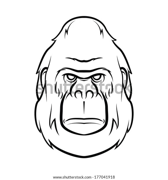 Gorilla Tattoo : Image Vectorielle De Stock (Libre De Droits) 177041918 620_x_580_jpg