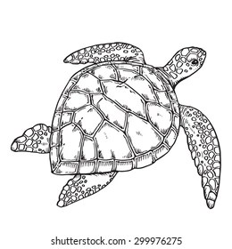 Sea Turtle Tattoo Images, Stock Photos & Vectors | Shutterstock 280_x_260_jpg