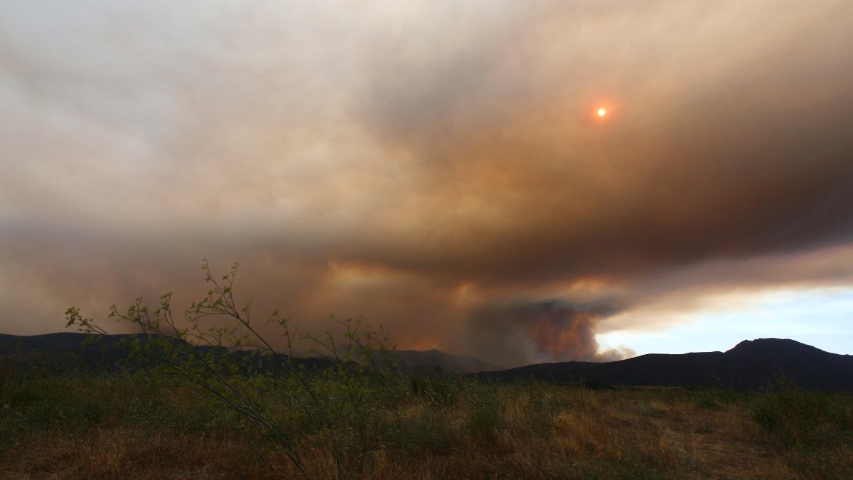 Cajamar habilita una línea de 20 millones para los afectados por los incendios en Castilla y León Cajamar habilita una línea de 20 millones para los afectados por los incendios en Castilla y León