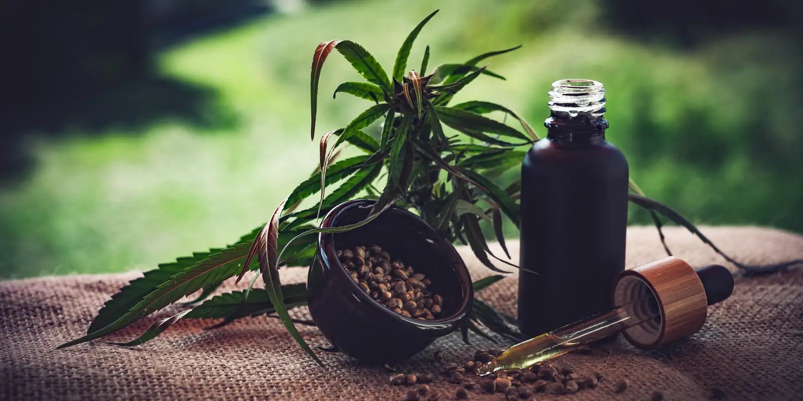 Rio terá política de fornecimento de canabidiol pelo SUS