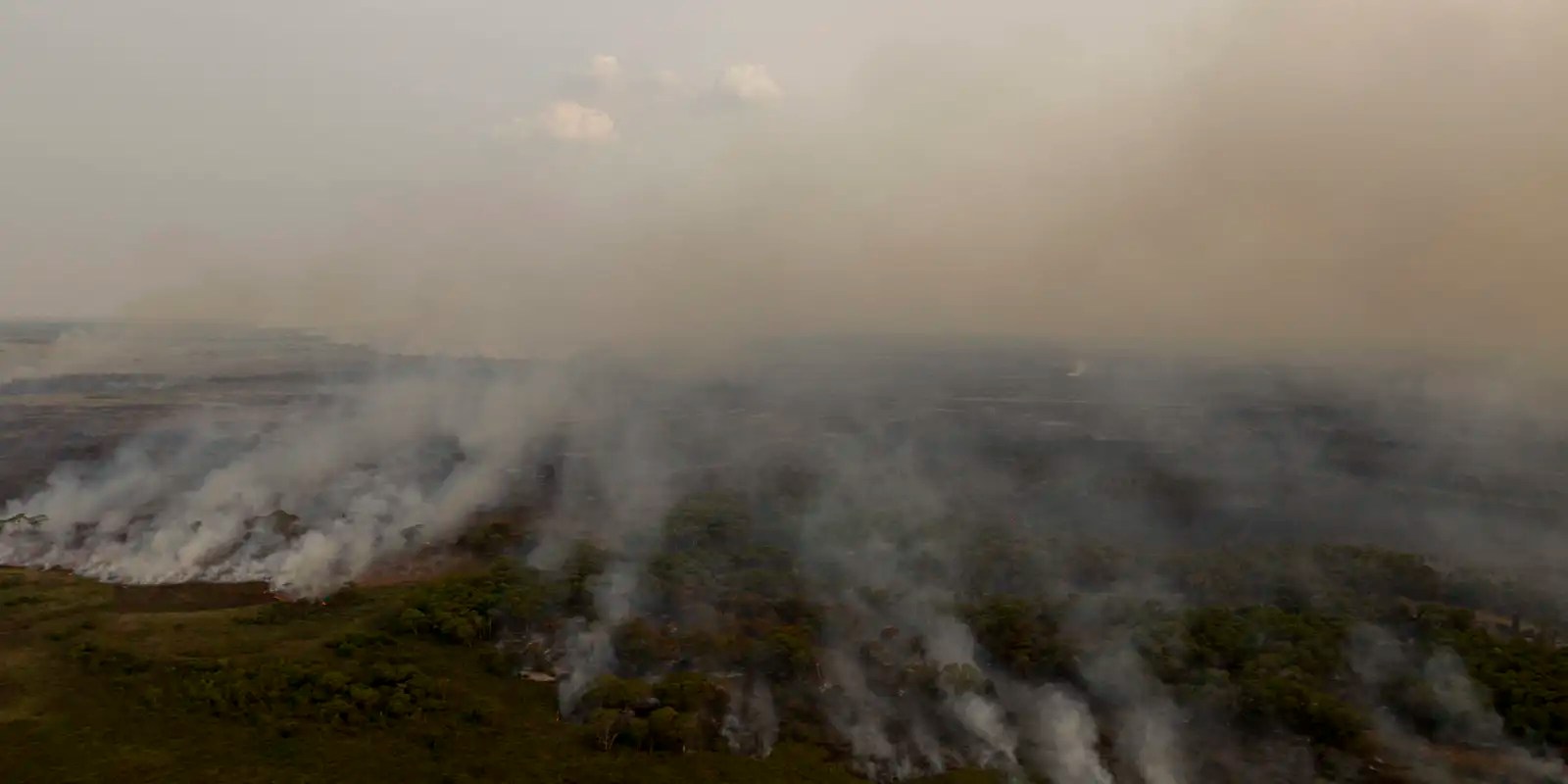 PL que muda Código Florestal vai desproteger 48 milhões de hectares