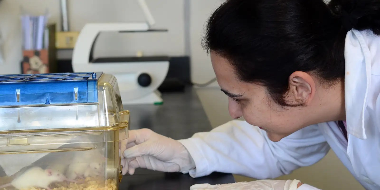 Tecidos feitos em laboratório podem aperfeiçoar testes de medicamentos
