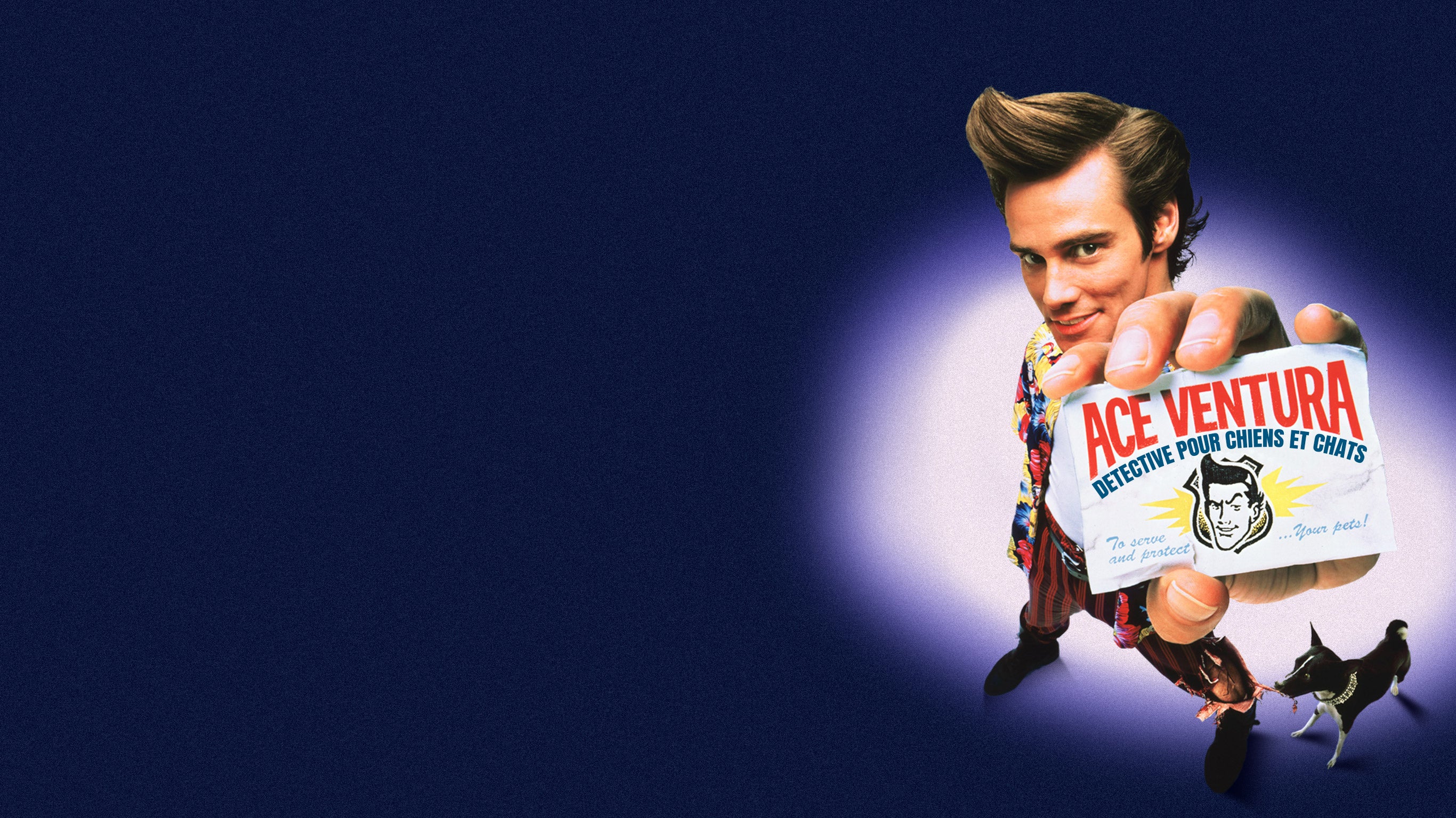 Ace Ventura : détective chiens et chats sur 6play : voir les épisodes en  streaming gratuit