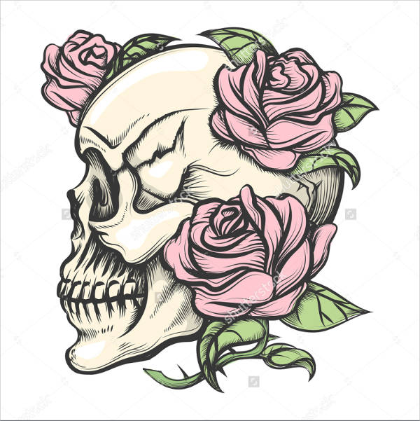 Free 9 Skull Drawings In Ai