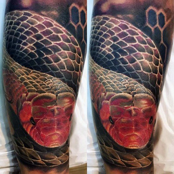 60 Tatuaggi Con Il Serpente (Con Significato) 600_x_600_jpg