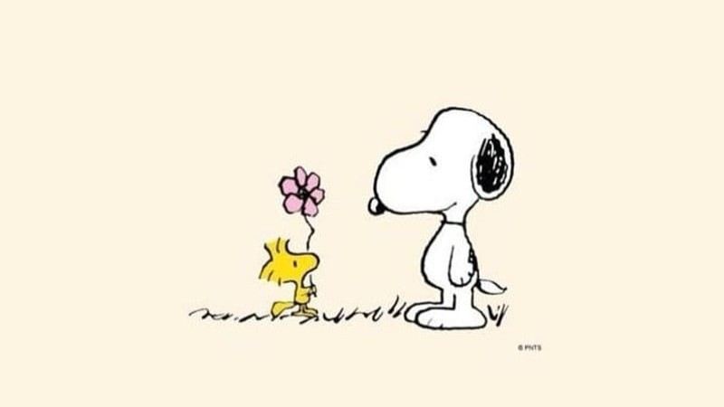 Sony Is Buying Snoopy for 7 Million in Surprise Acquisition