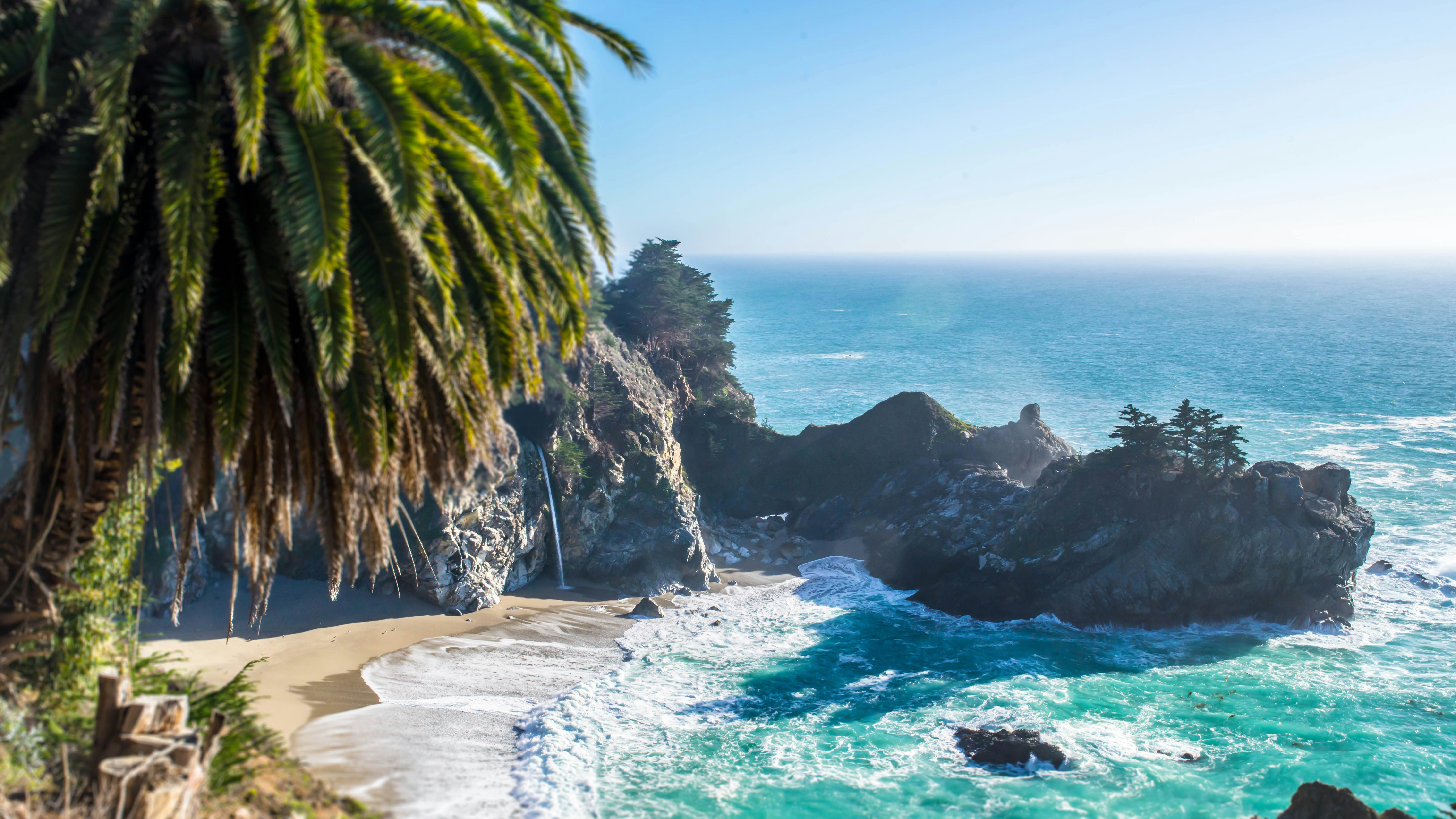Tropical Zoom Background 225_X_400_jpg