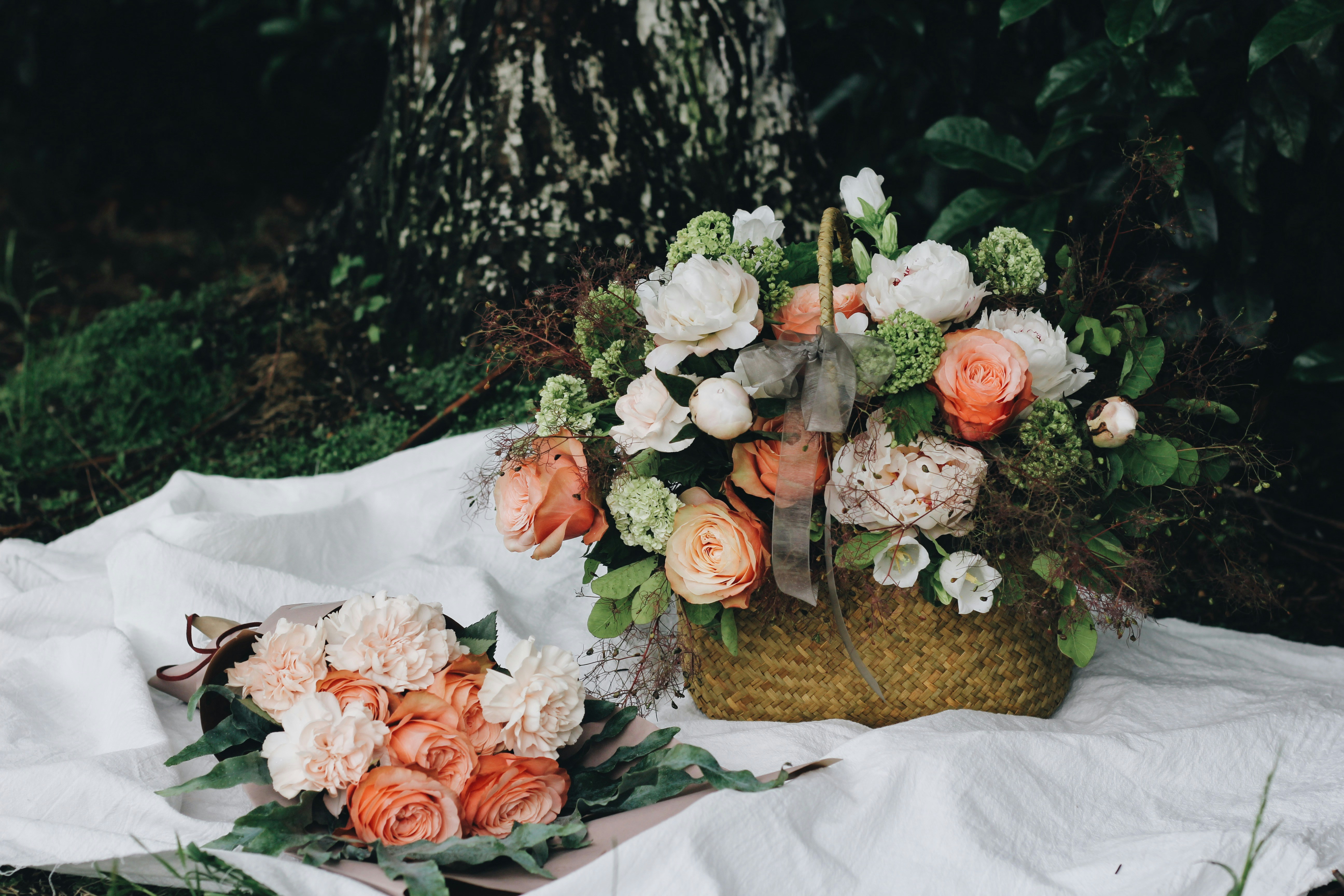 The Zinnia That Breaks the Heat: Inside ‘Pacifica Peach’ and the Race for Summer-Dominant Genetics