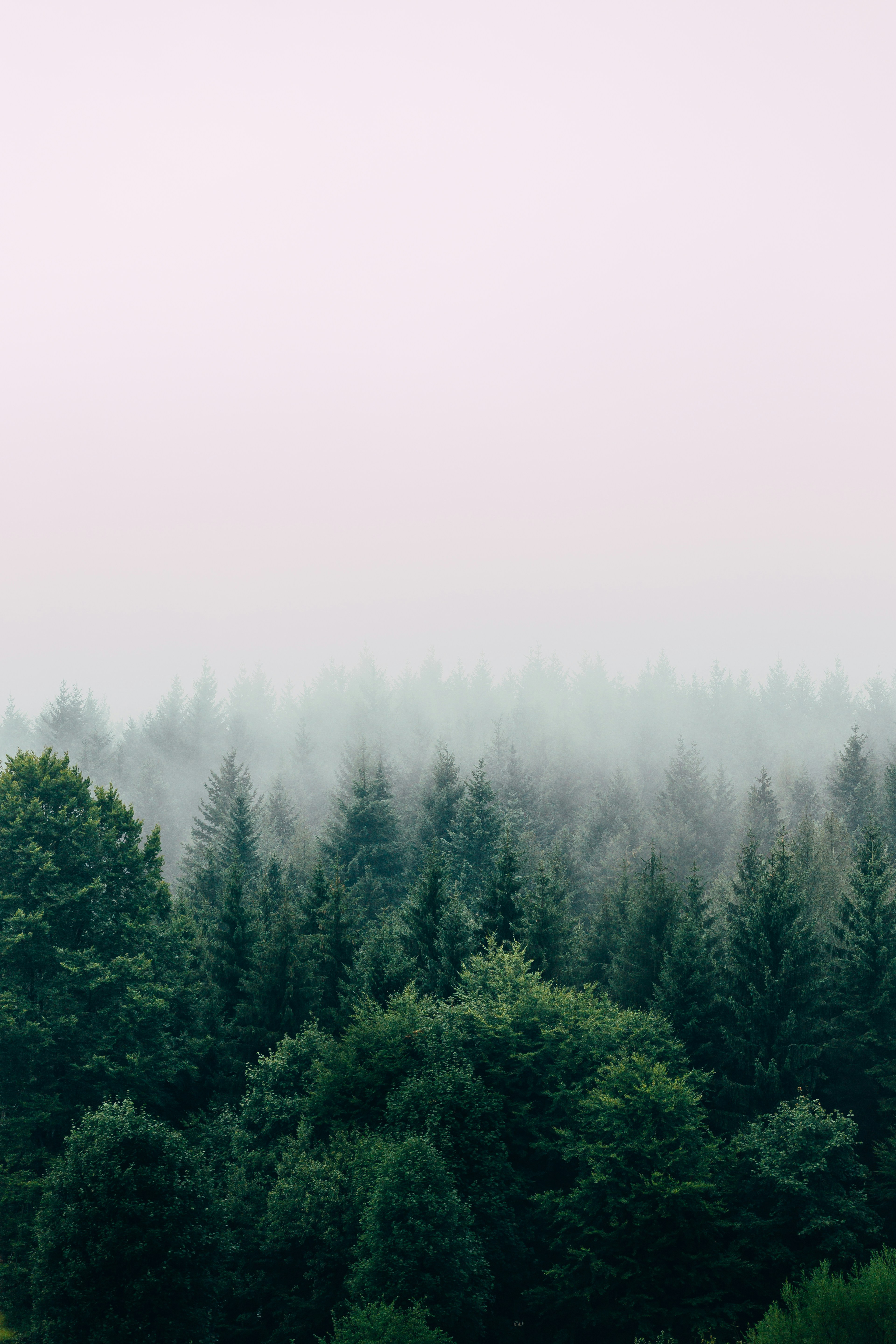 how to do bulk create in canva