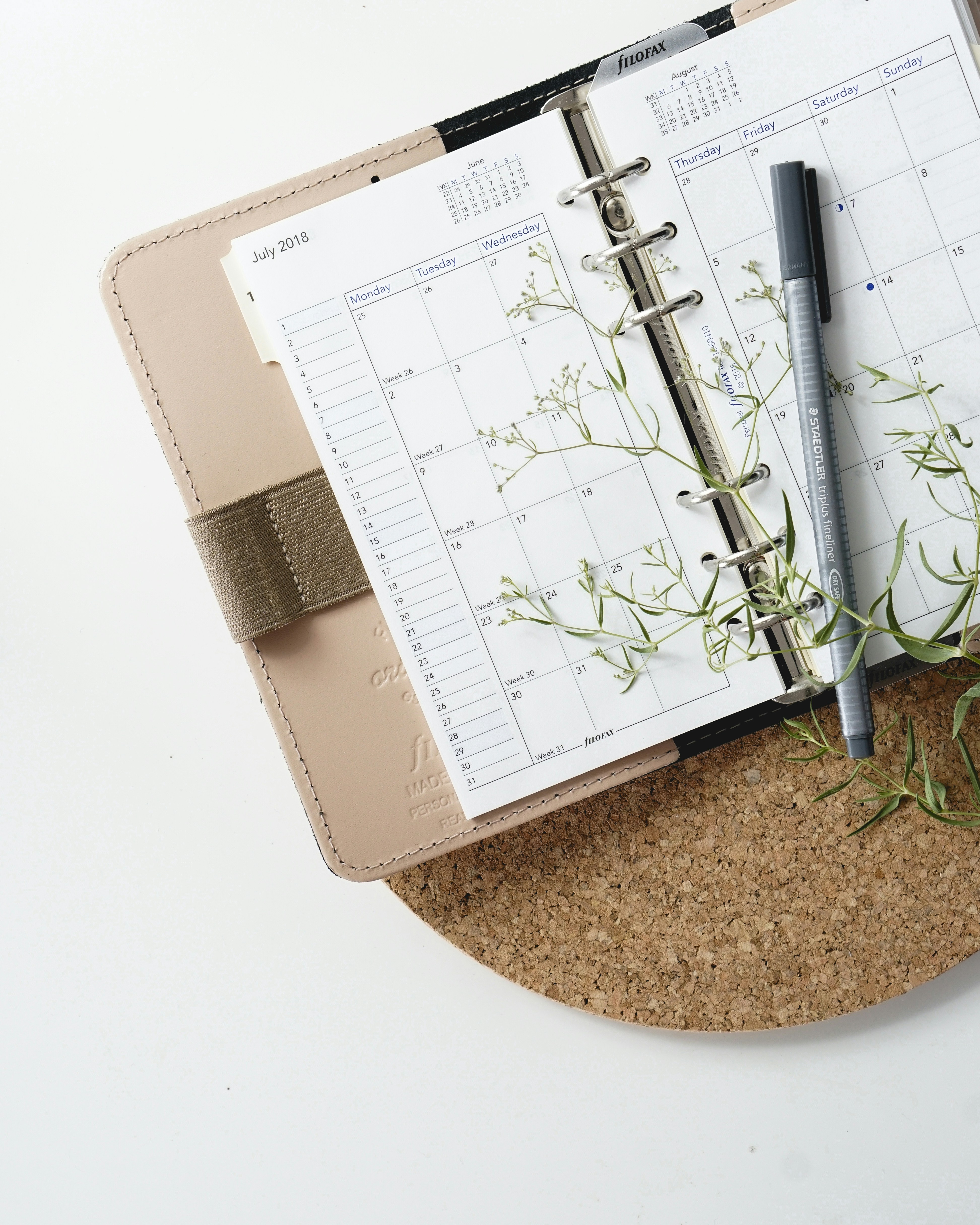 Future-Proof Your Growth: A Strategic Roadmap for Sustainable Scaling