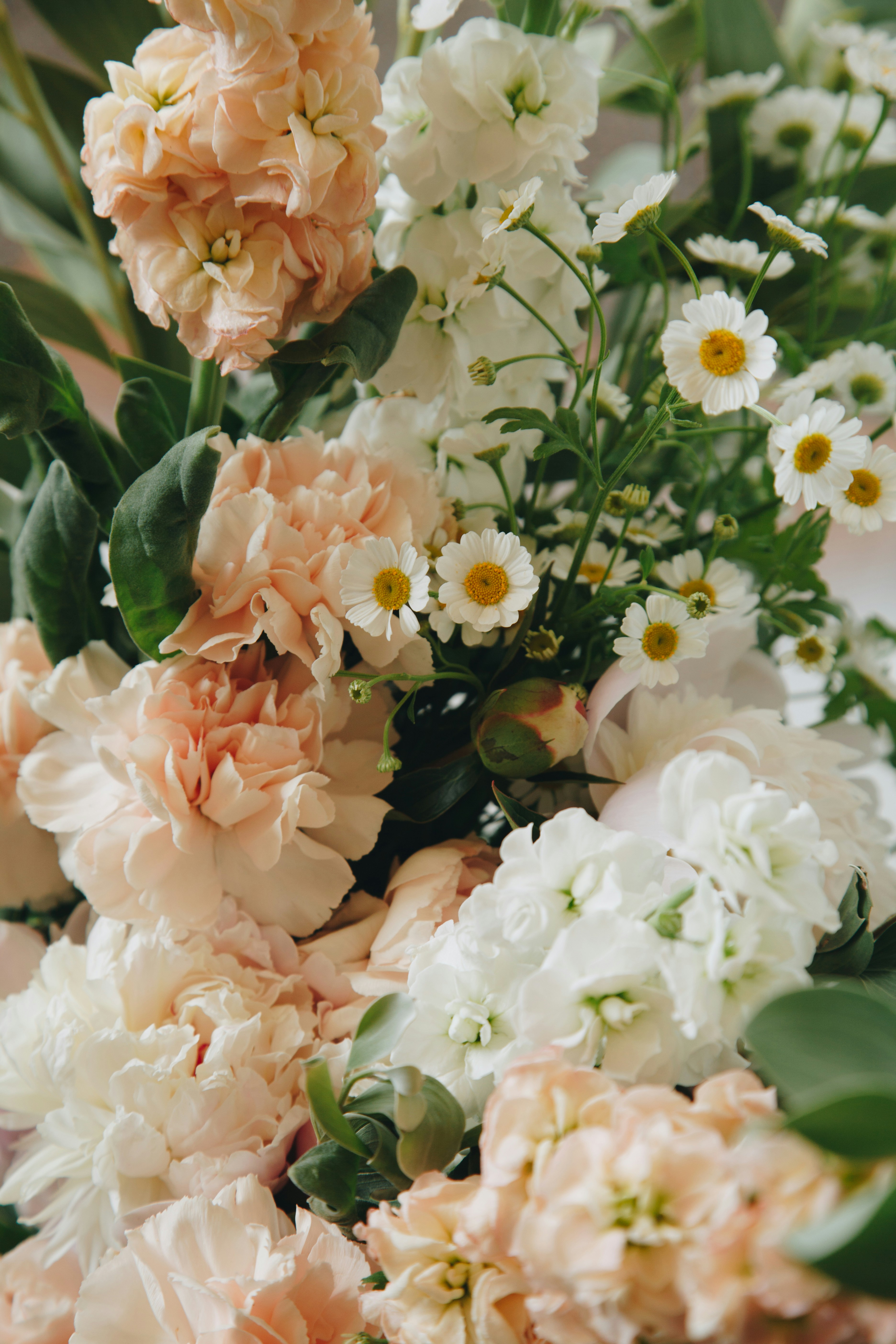 Mongkok Flower Market on Prince Edward Road West stocks locally farmed chrysanthemums, eucalyptus and baby’s breath, with bouquet bundles often starting at HK per bunch.