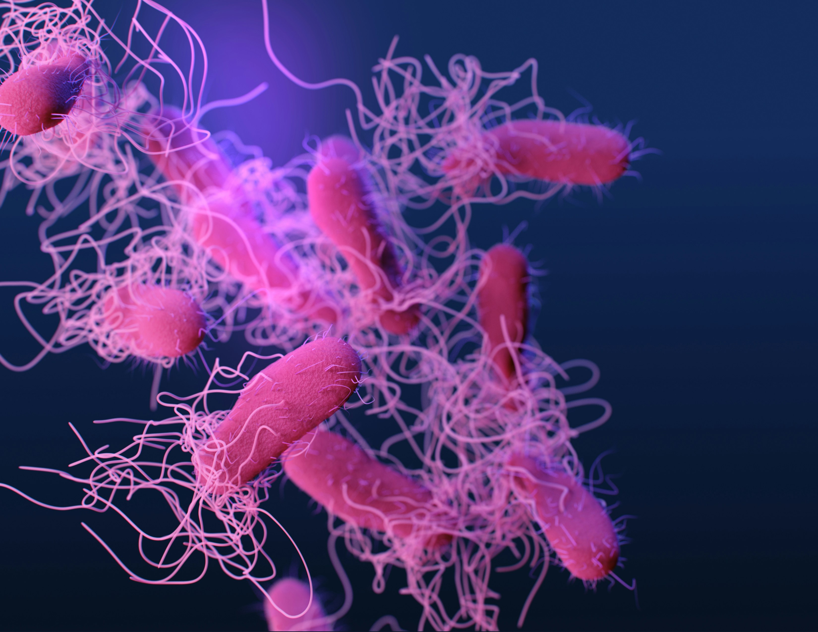 Urgent Health Alert: Salmonella Outbreak Traced Back to Popular Hamilton, Ontario Restaurant