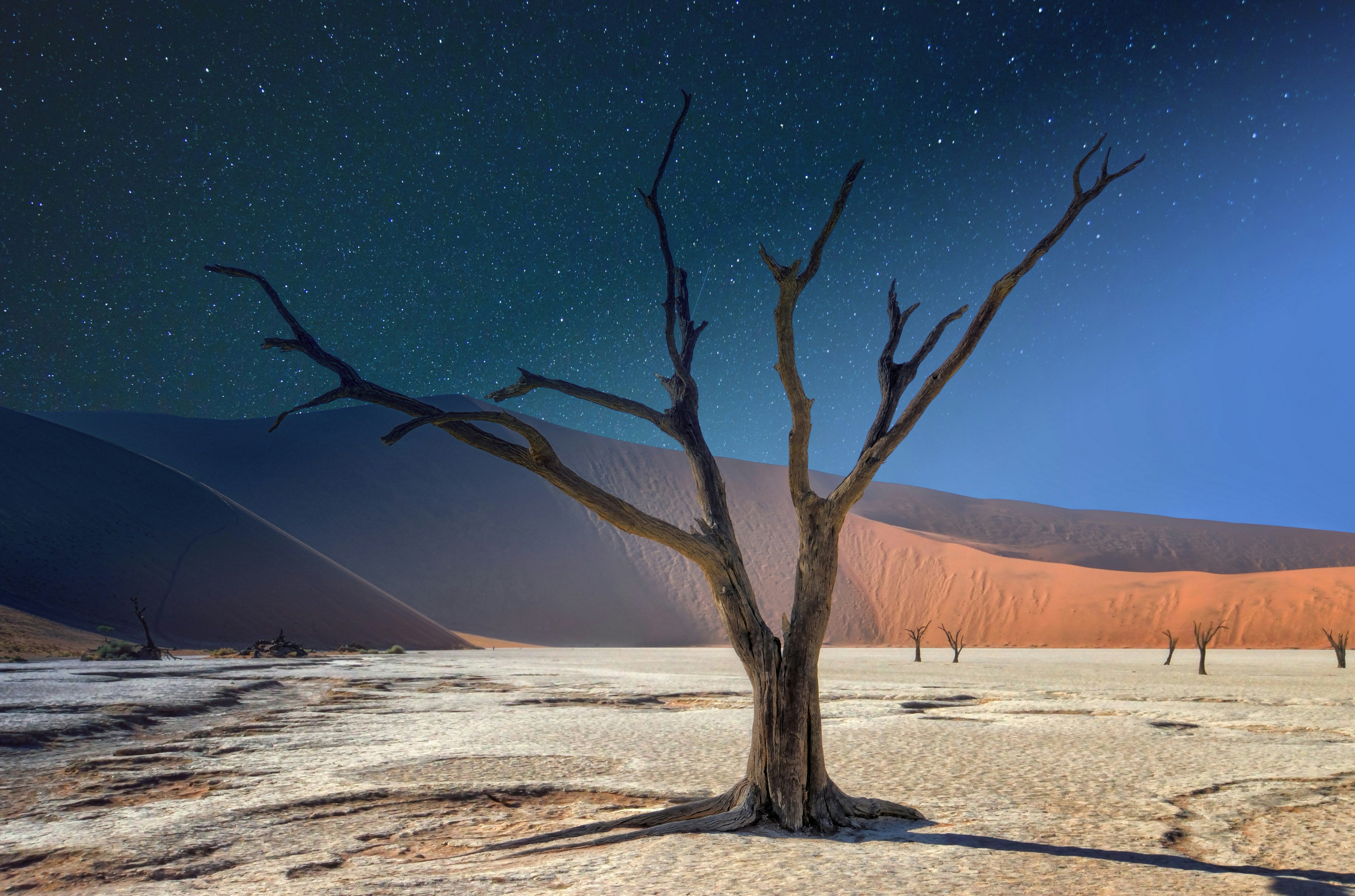 Namibie : 10 choses incontournables à faire pour un voyage d&rsquo;aventure au cœur de l&rsquo;Afrique australe