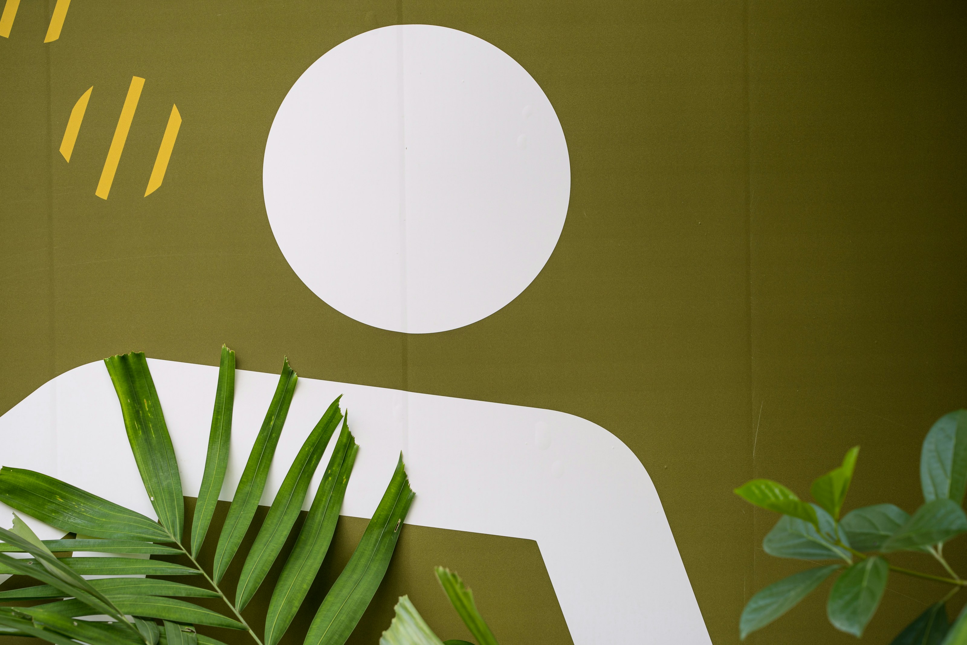 wellness privacy design
