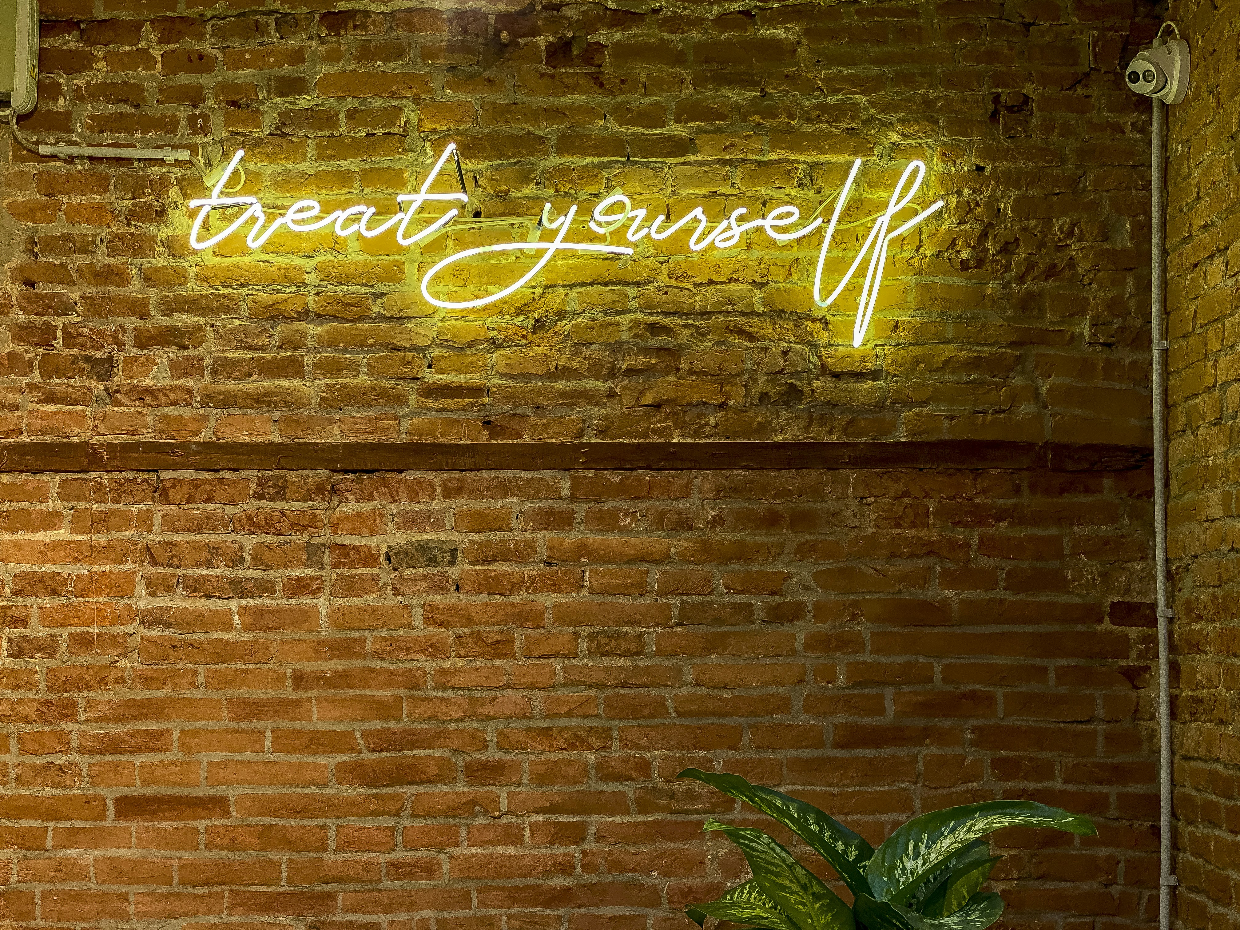 Build a Wellness Routine That Works For You