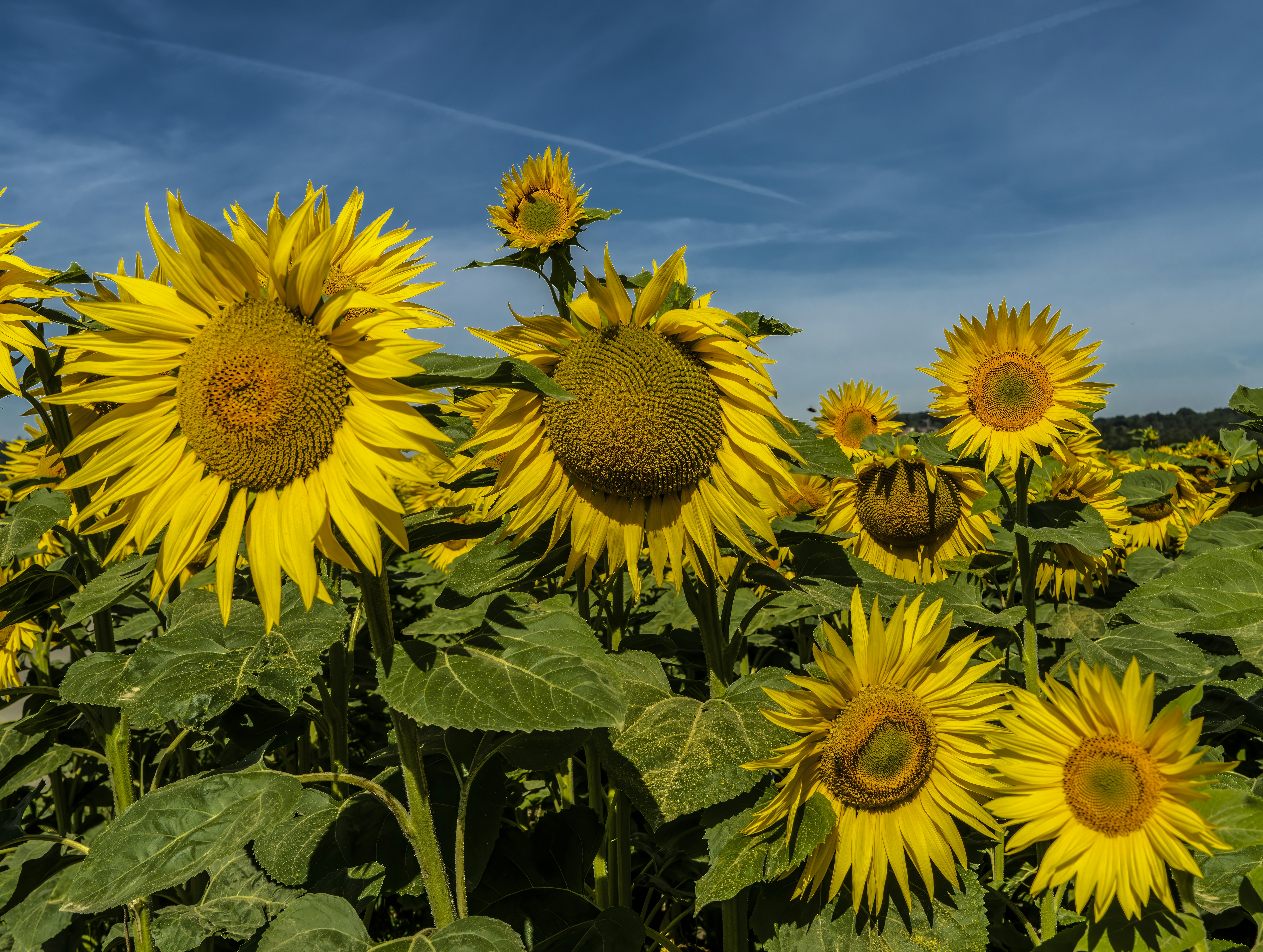 Return After Three Years: The Truth That Changed My Life