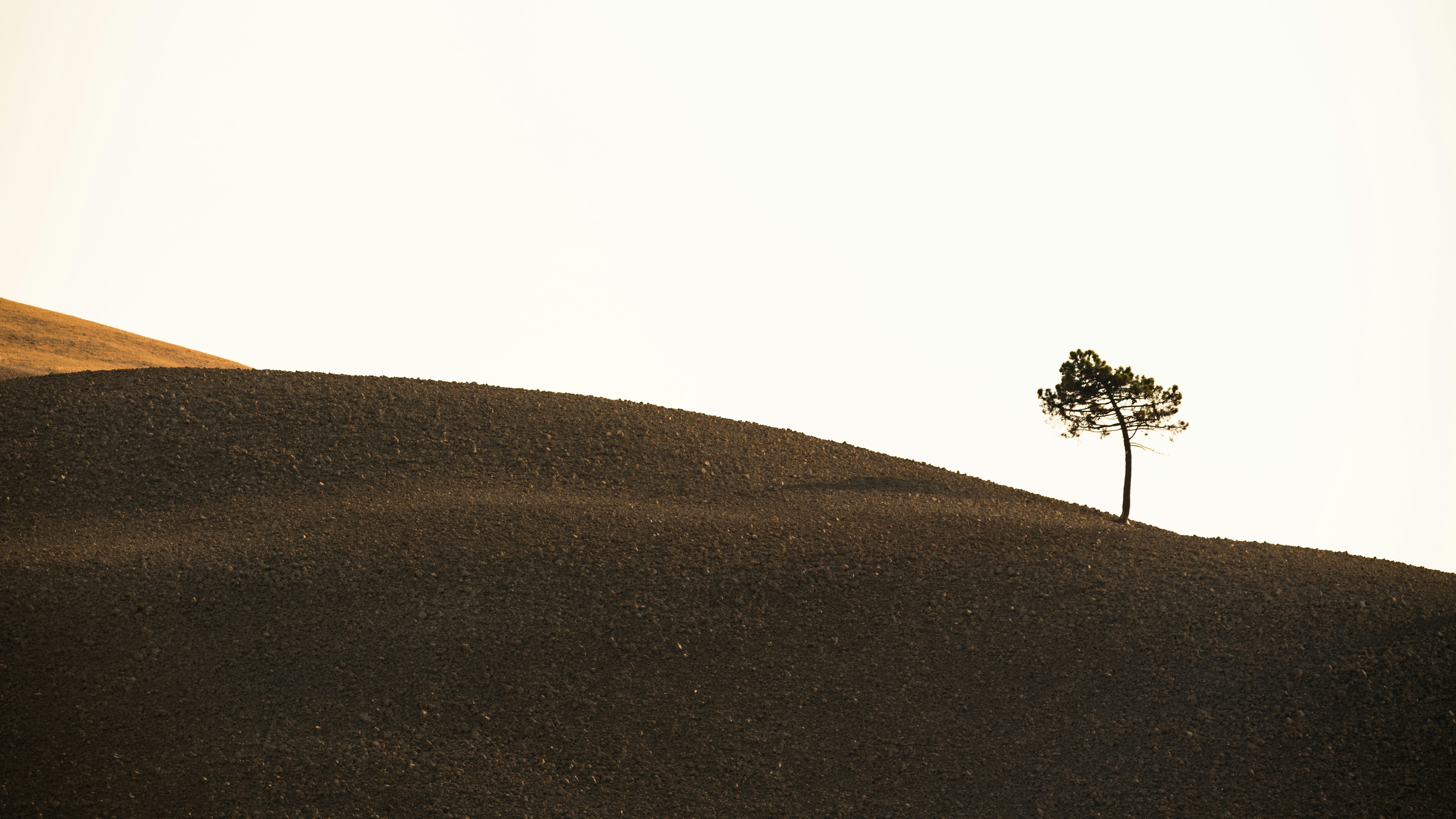 租屋族救星！小改造讓家質感爆棚！