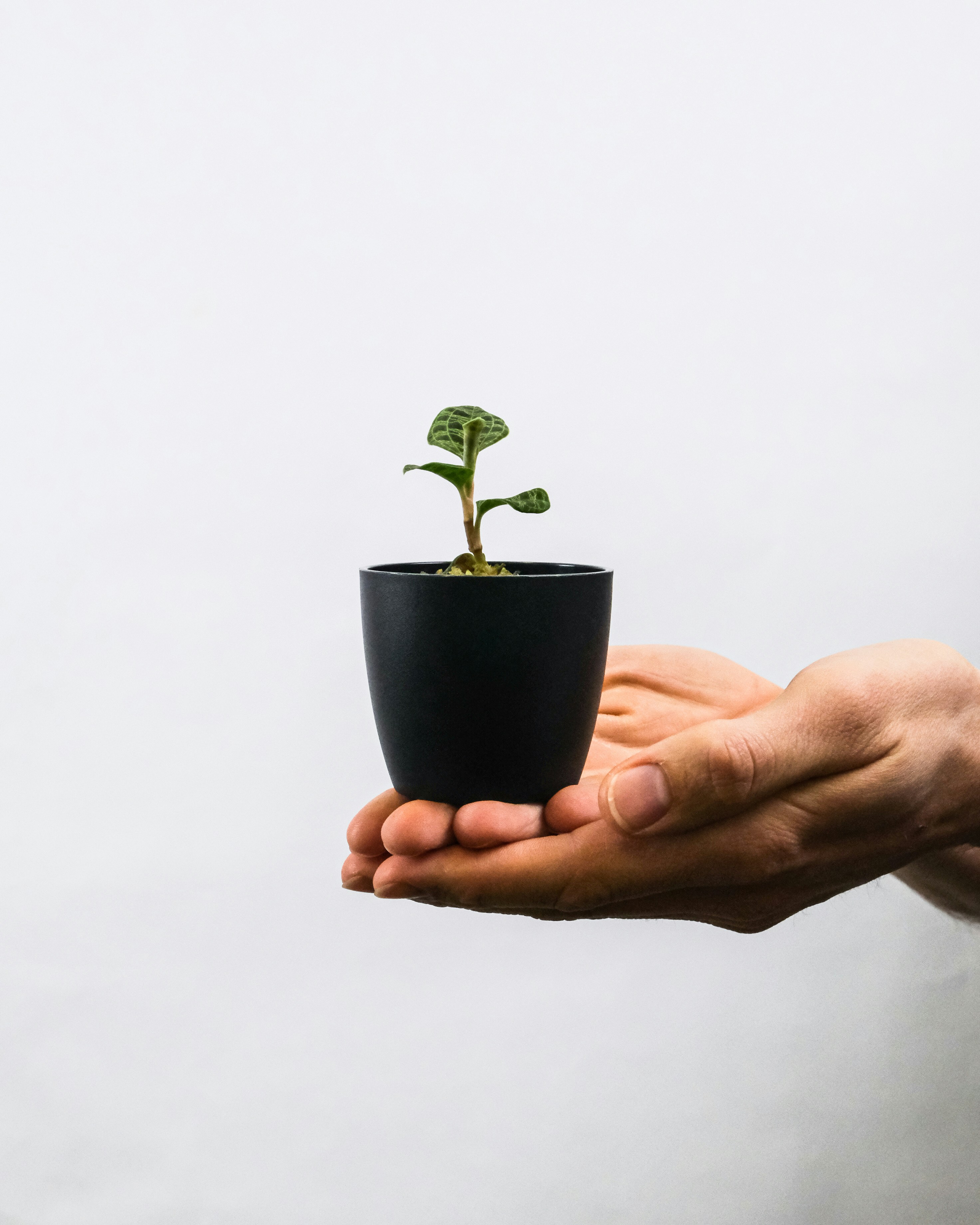 Unlock Your Financial Future Simple Investing
