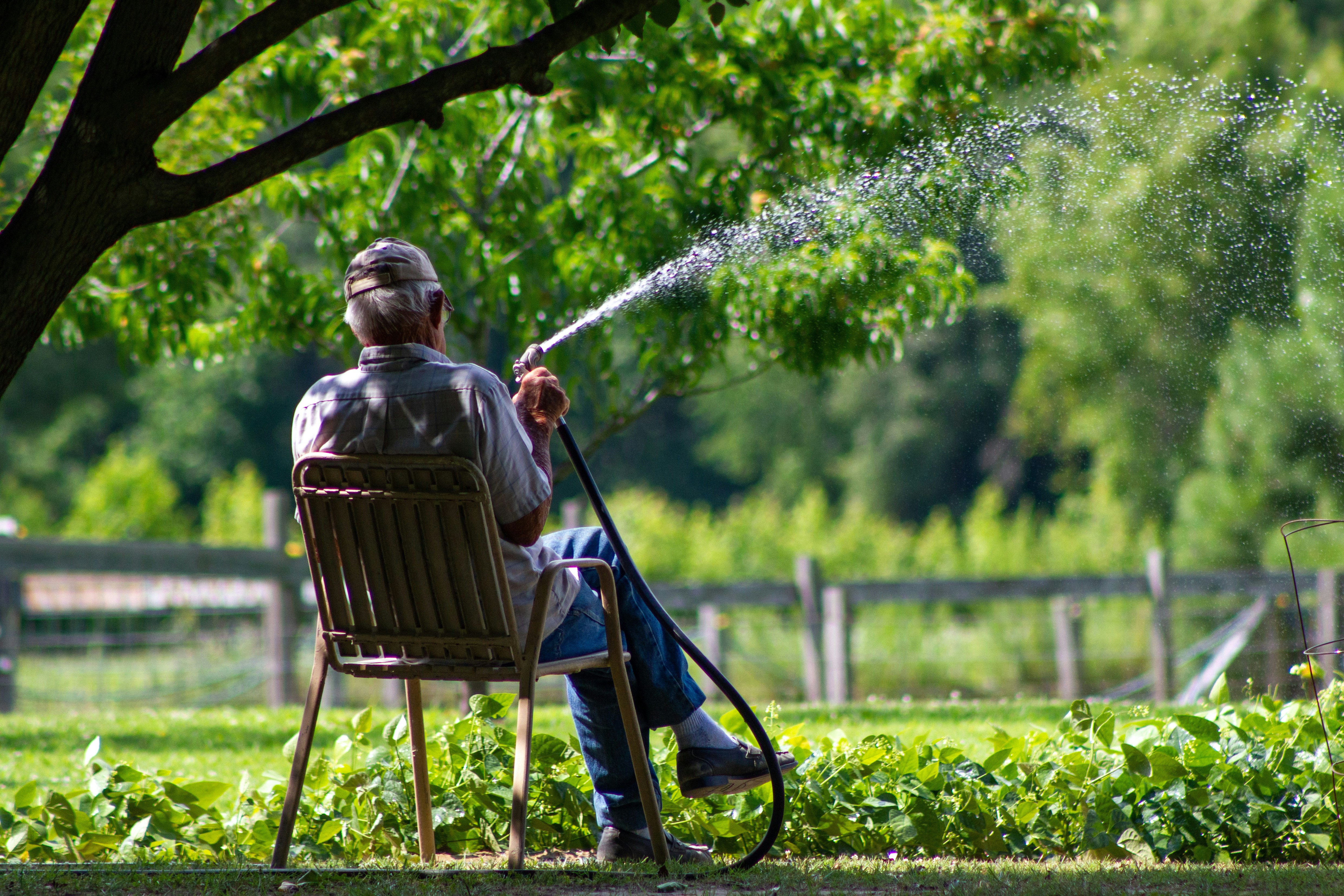 How Often Should You Water Common Garden Plants