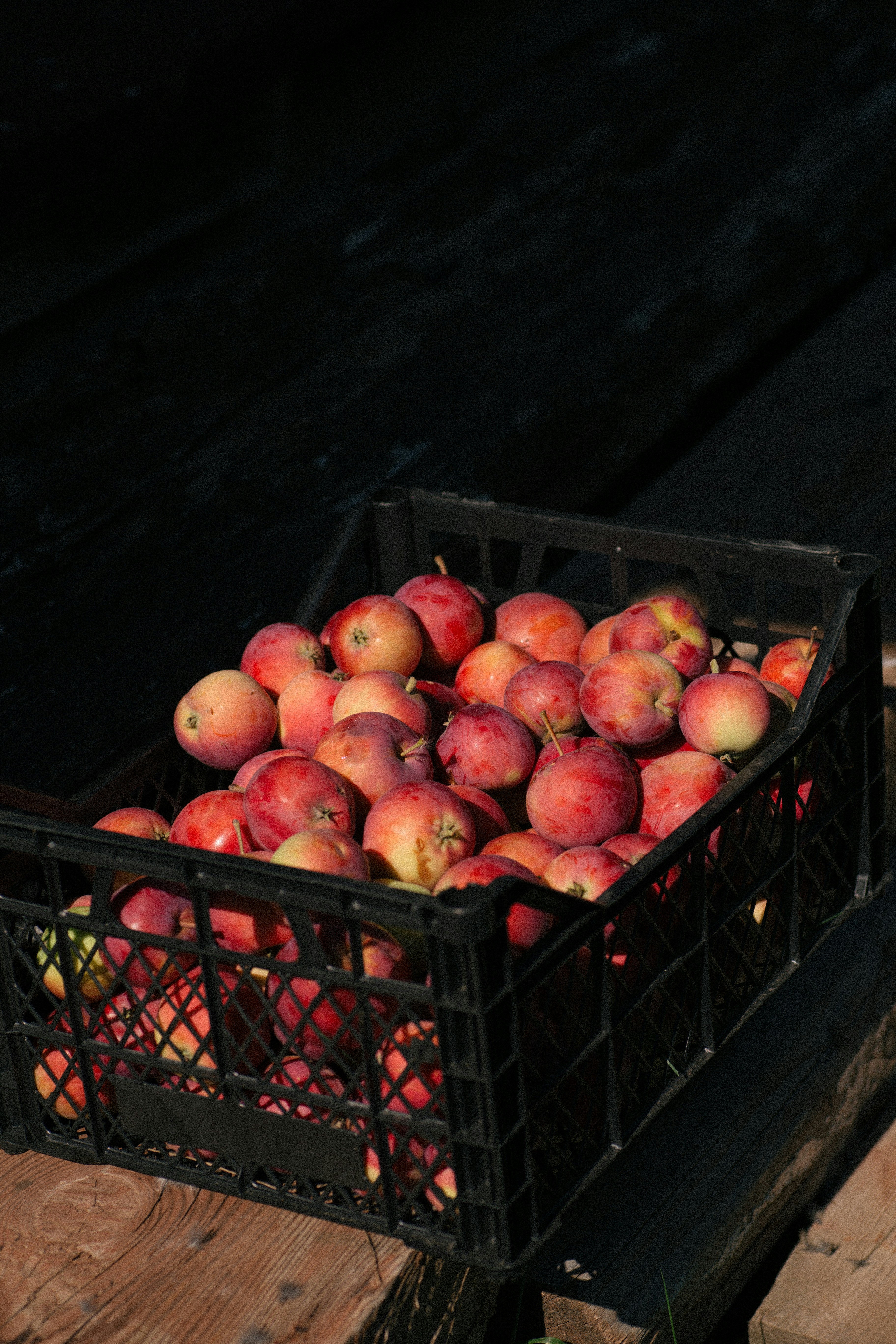 Reclaim Your Vitality: Small Changes for a Healthier, Happier You