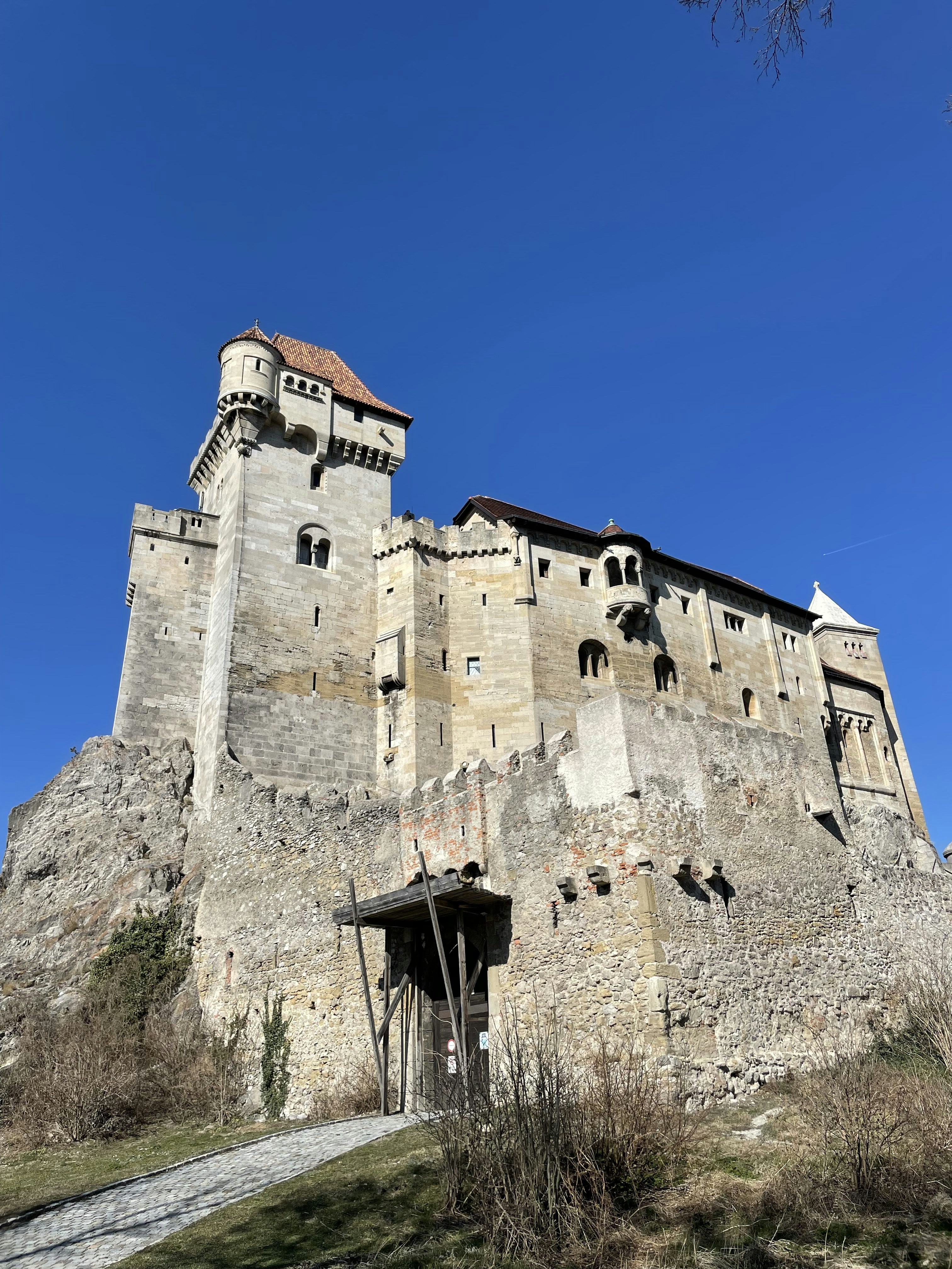 Franziska Castell – Herkunft, Leben, Karriere und öffentliche Rolle