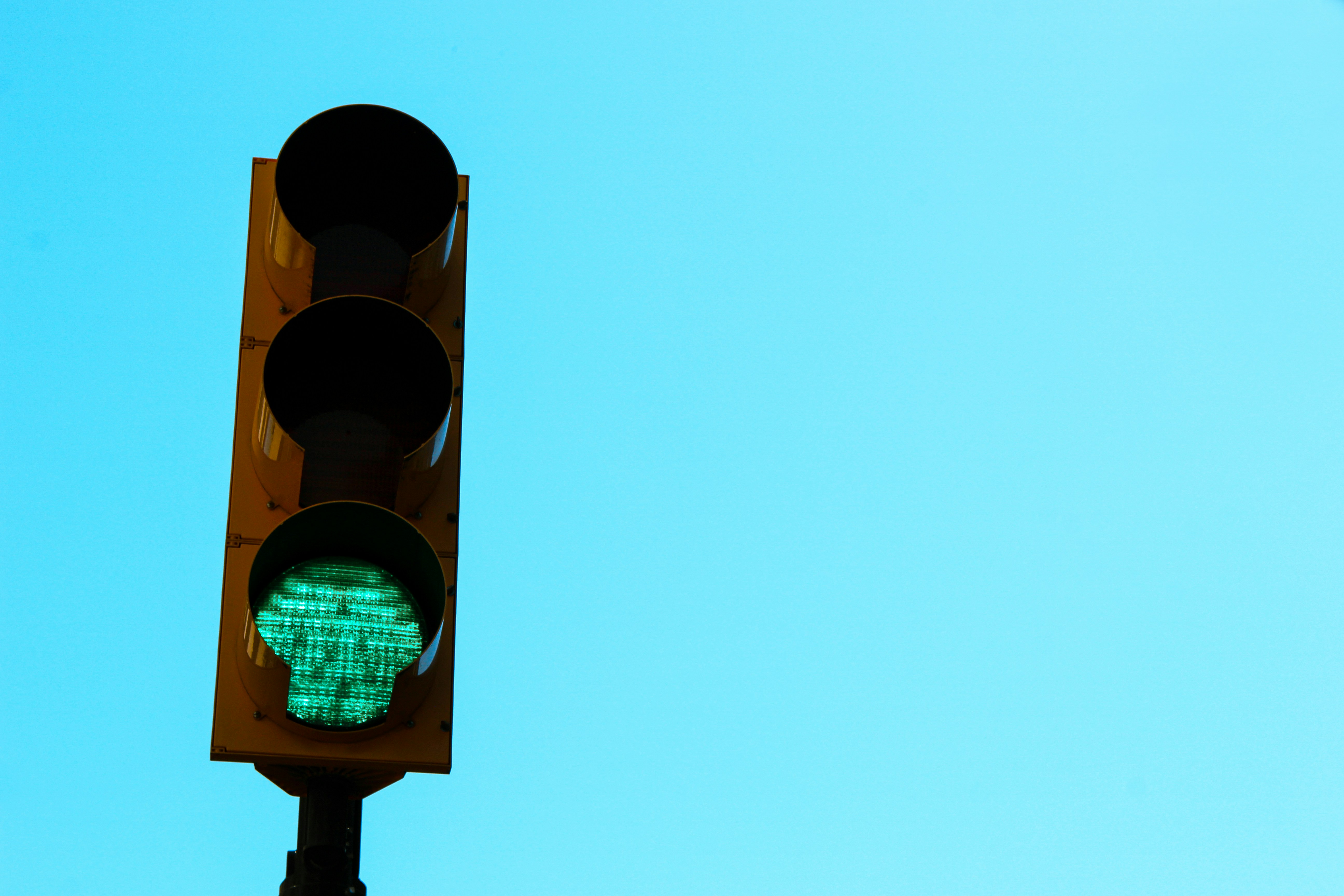 Traffic Stop Survival Guide Your Rights Explained