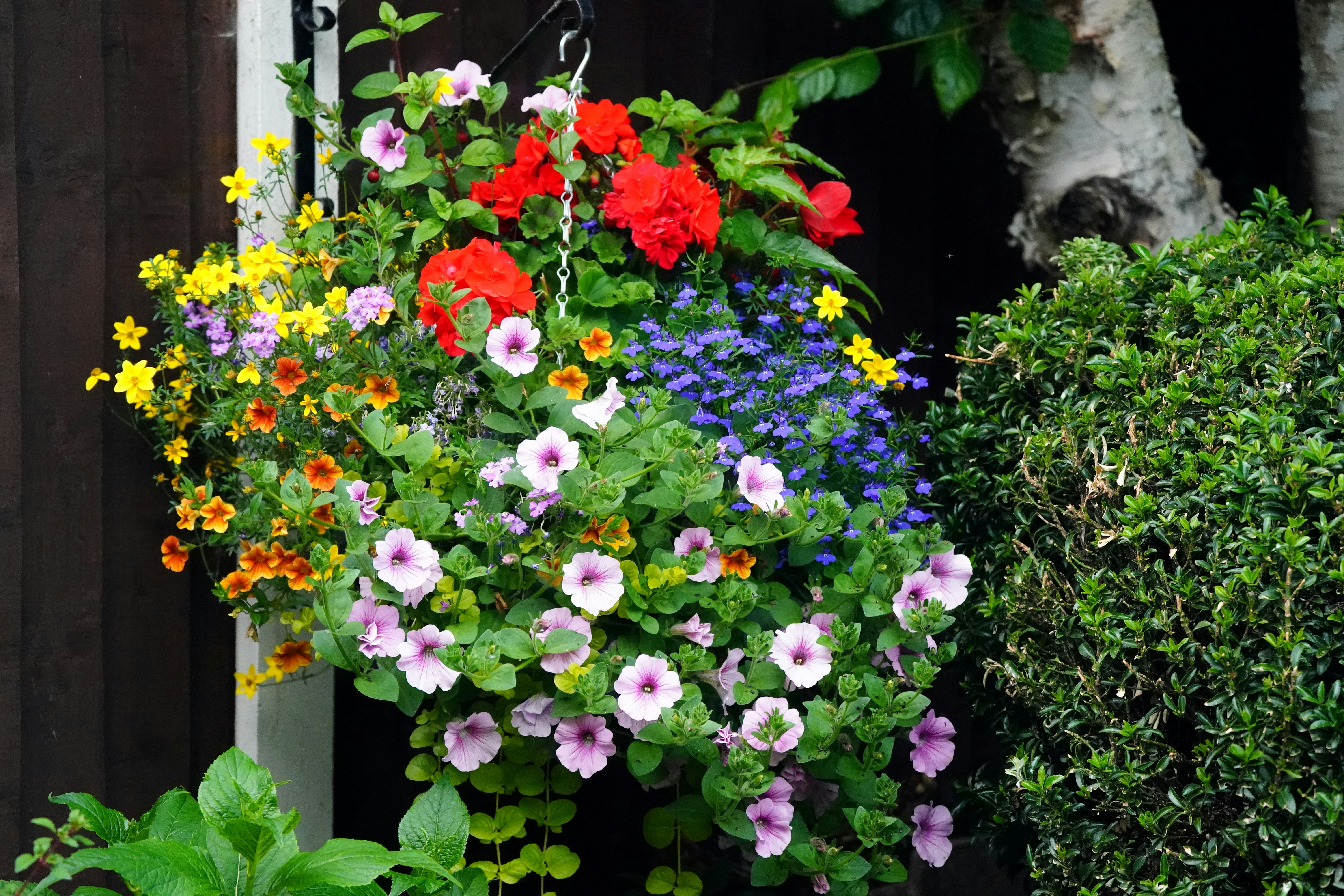 Decoradhouse Garden Tips by DecoratorAdvice for Outdoor Beauty