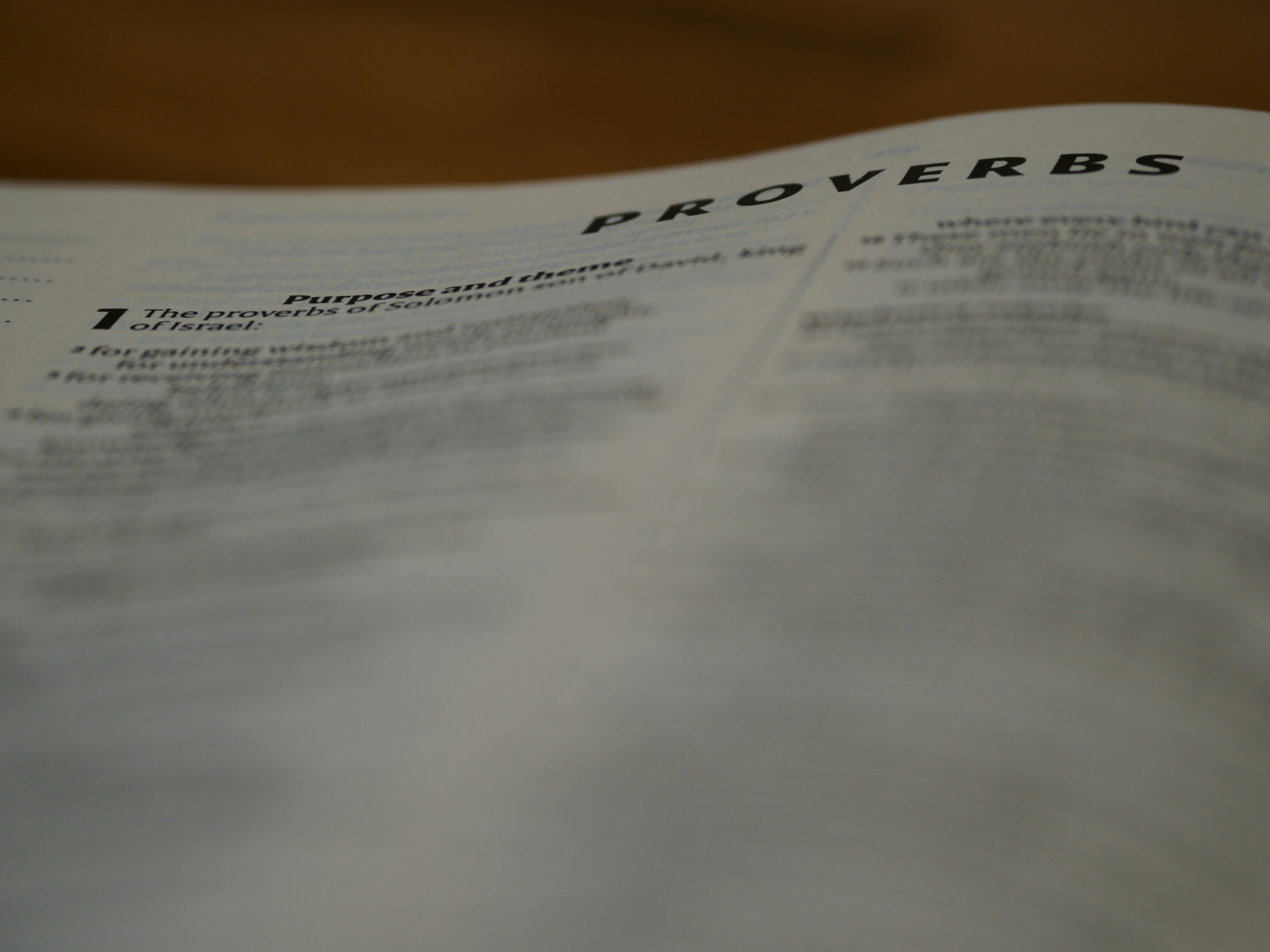 誰說躺平沒出路？這招讓你躺著也能賺！