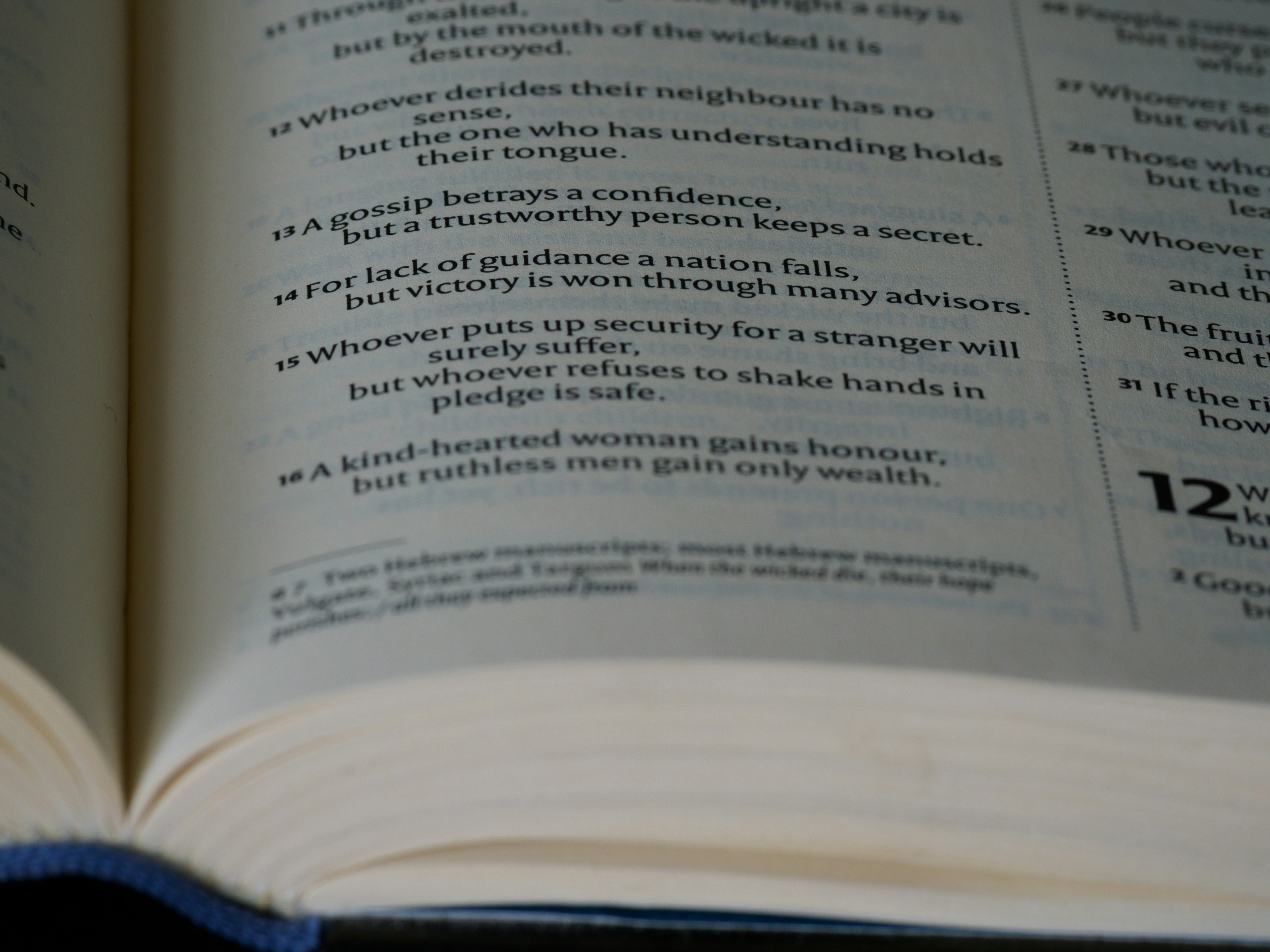 自架站不踩雷！新手必看XX個隱藏地雷