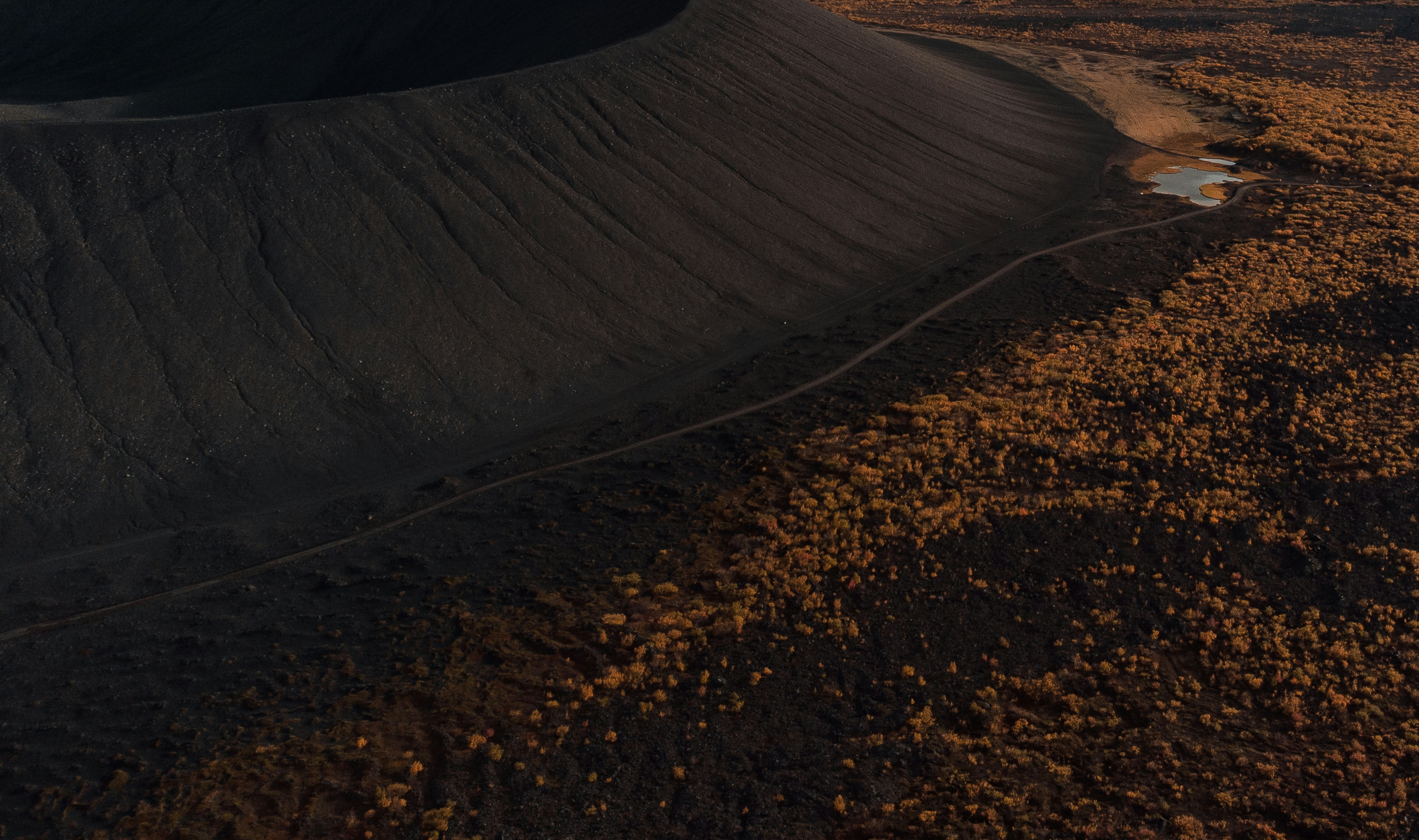 二十一點穩賺不賠？莊家不說的秘密，賭神都靠這招！