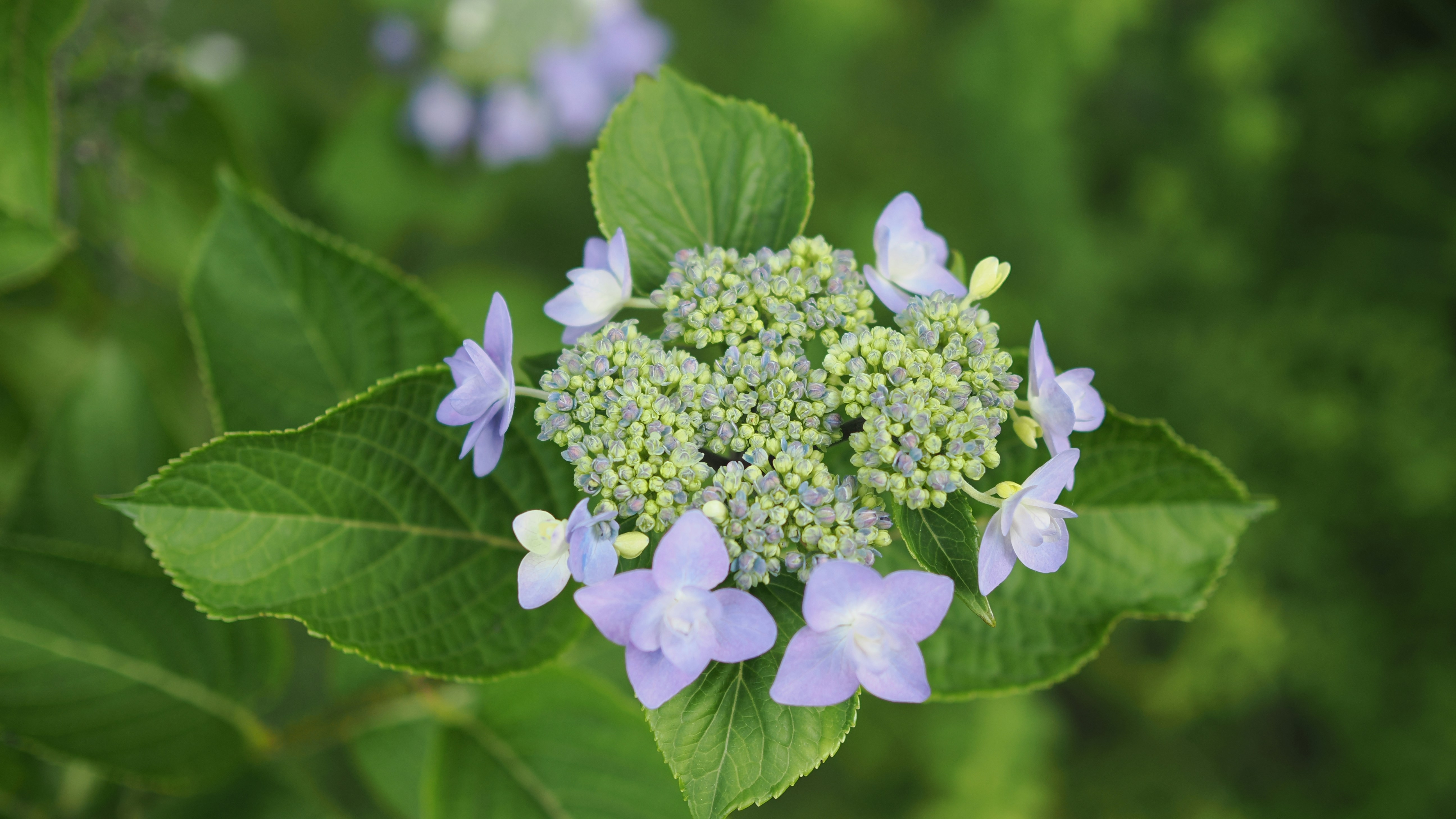 解鎖財富密碼：股票與加密貨幣的通用投資策略