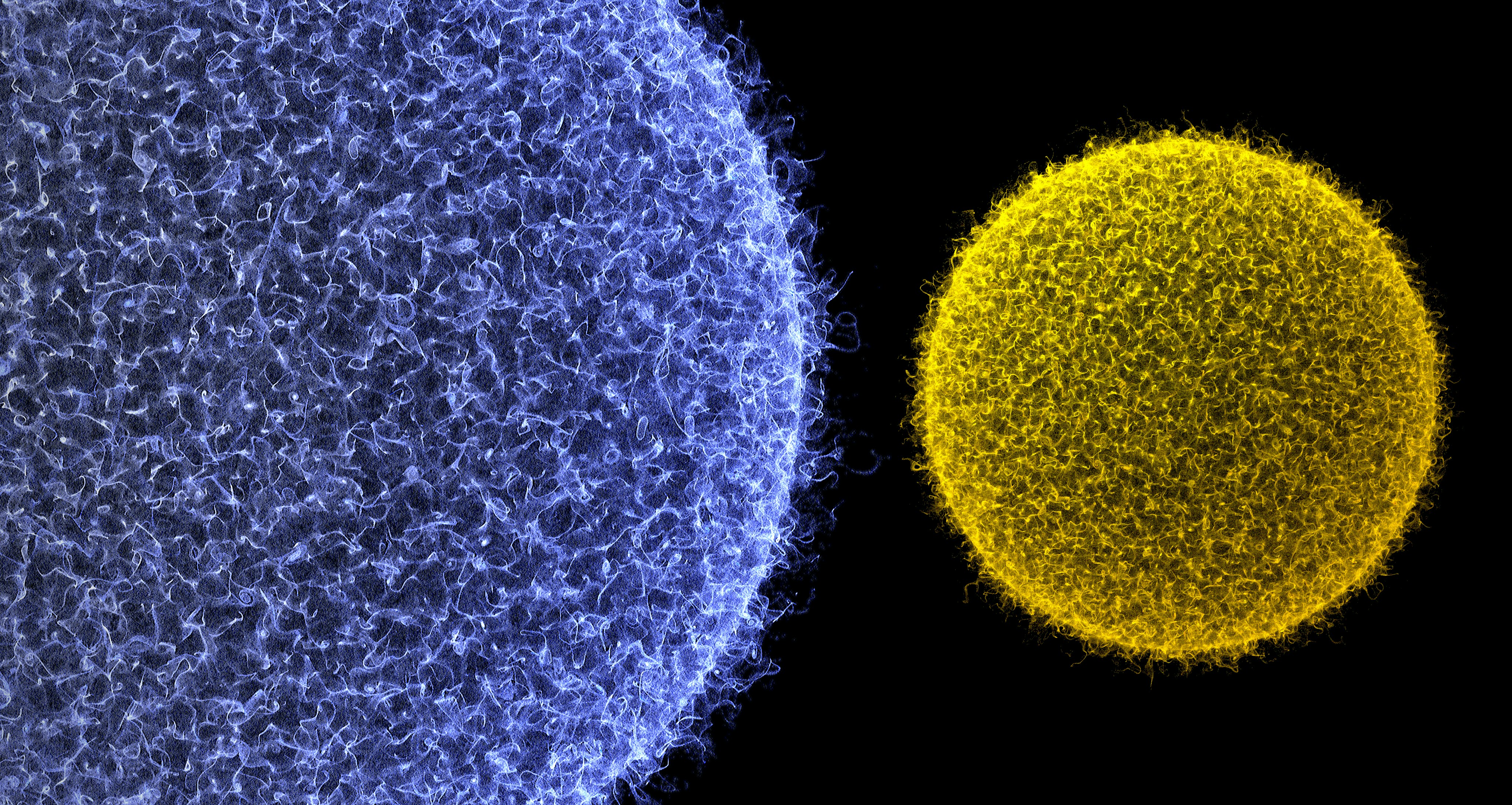 What New Discoveries Are Making Science Headlines Today