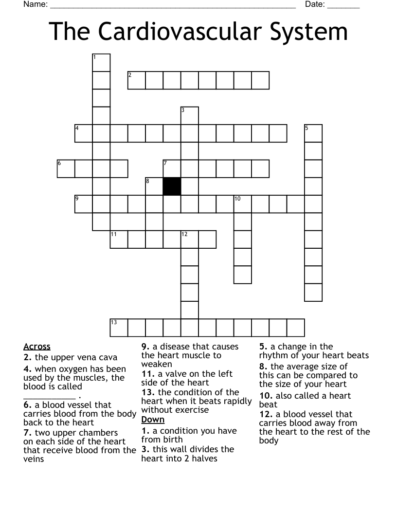 Cardiovascular system crossword puzzle