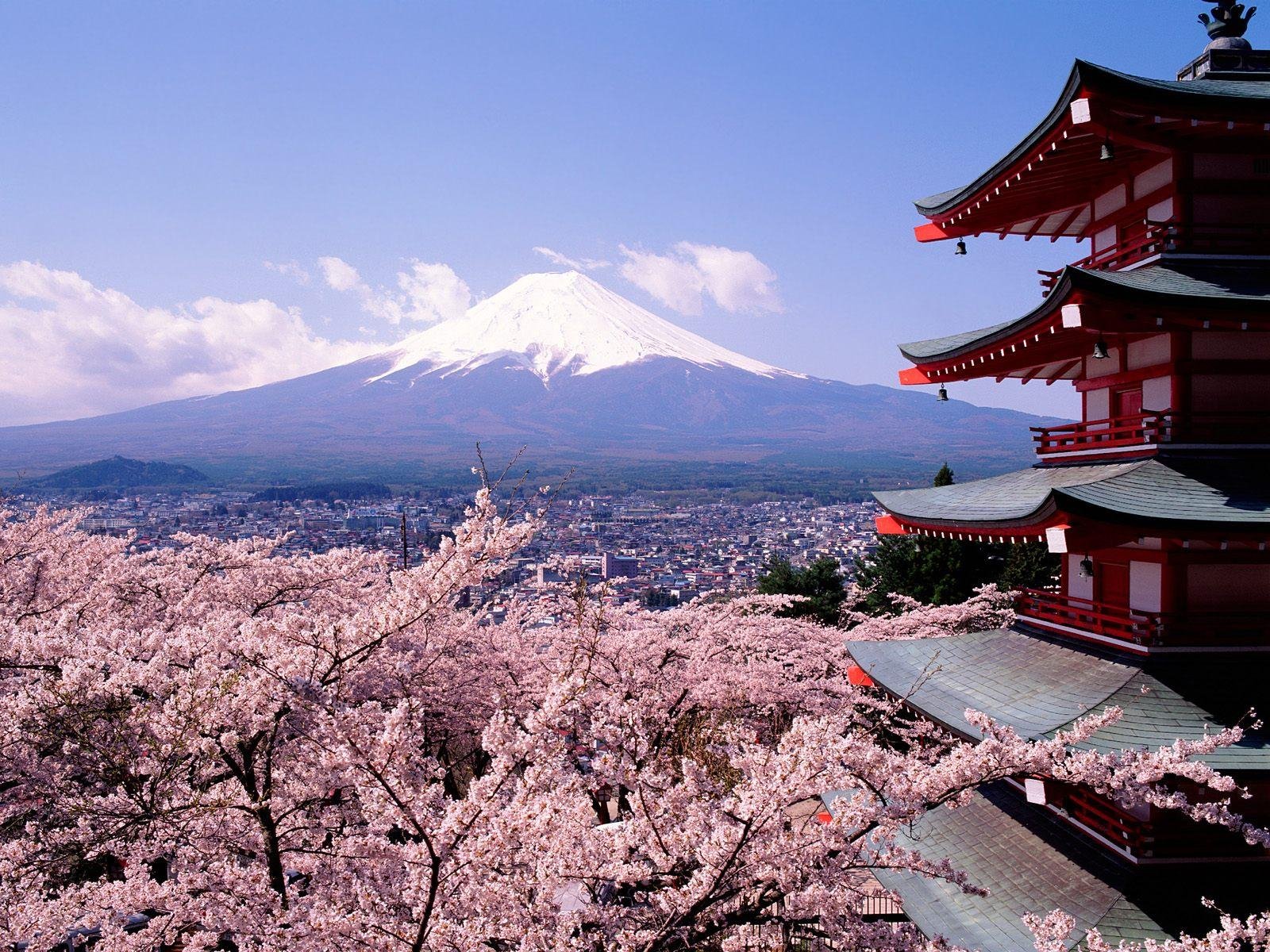 100+ Mount Fuji Hd Wallpapers | Background Images 1200_X_1600_jpg