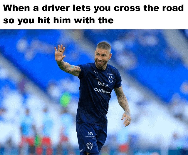 ﻿When a driver lets you cross the road so you hit him with the bBV code