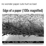 ﻿no wonder paper cuts hurt so bad Edge of a paper (1OOx magnified) UWO CorBc unI EHT – 3 Ooiv SignalOsE2 Doto . 10 Nov 2015 Juunm Maq 400X WD Omm FIB Imuging SEM Ime 832