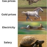 ﻿Gas prices Gold prices Electricity Salary