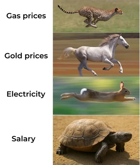﻿Gas prices Gold prices Electricity Salary