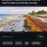 ﻿Seaweed could help build the cities of tomorrow A common form of seaweed, piling up on tropical beaches, could be used to make eco-friendly concrete newatlas com Open 1.1K 50 Share ThatNeverHappenedBro 4d ago Cool, cant wait to never hear about it ever again: