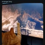 ﻿rIOneOrangeBraincell 7h No more World War Il documentaries for this orange boy